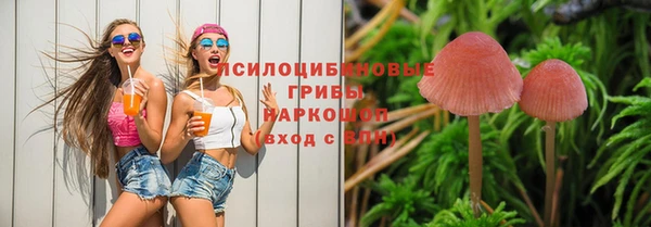 дурь Мегион