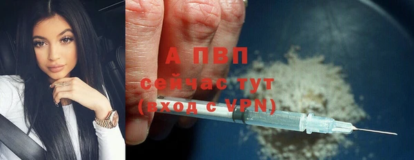 ешки Медногорск