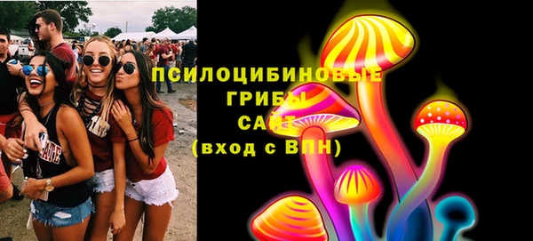 дурь Мегион