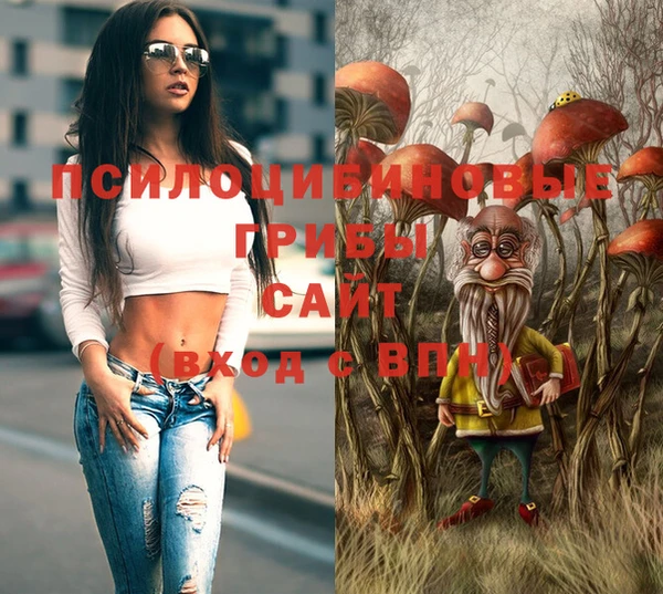 ешки Медногорск