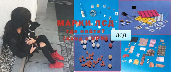 ешки Медногорск