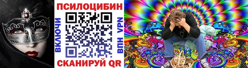 Галлюциногенные грибы Psilocybe  Купить  Салаир 